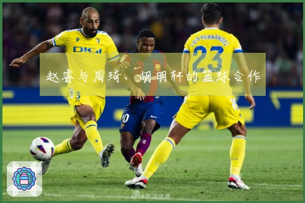 赵睿与周琦、胡明轩的篮球合作